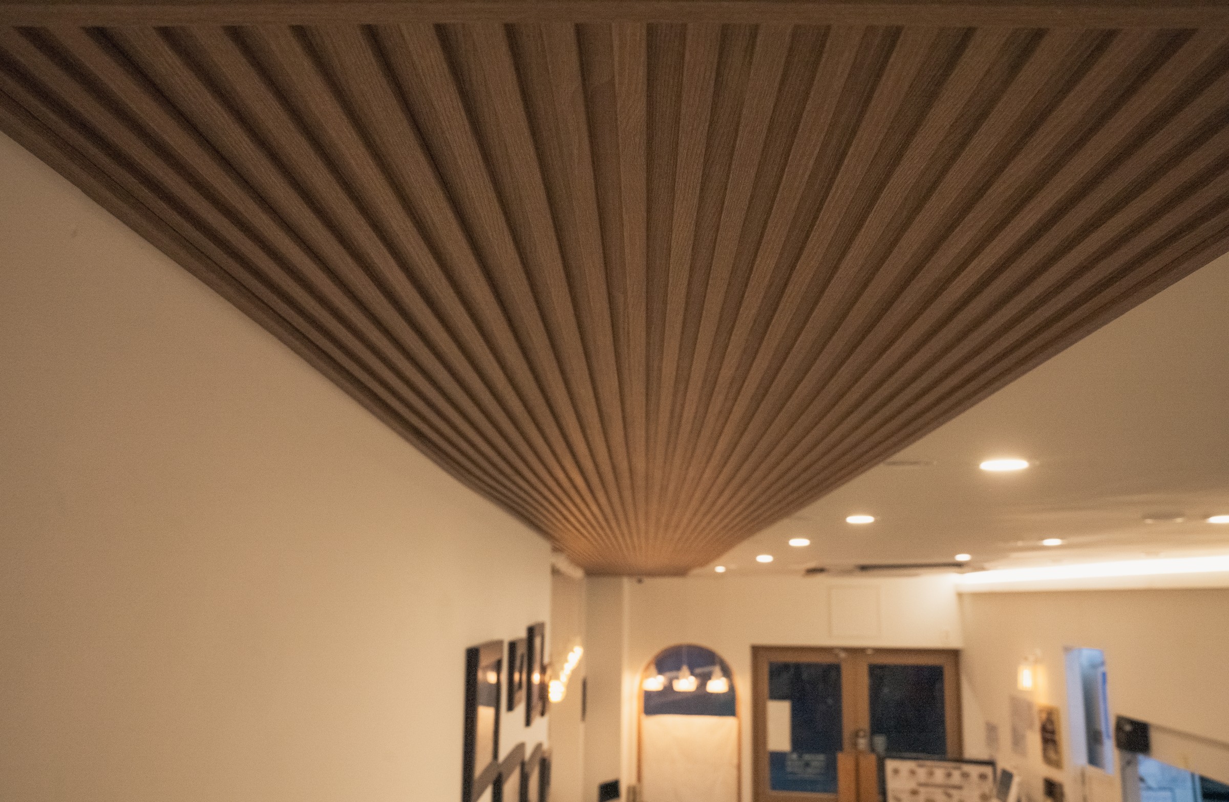 designray-b08-019